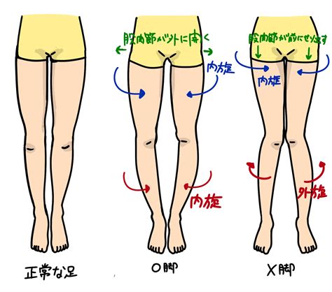 ぺたんこ座りはO脚にいいの？悪いの？【O脚の正しい方法を大。